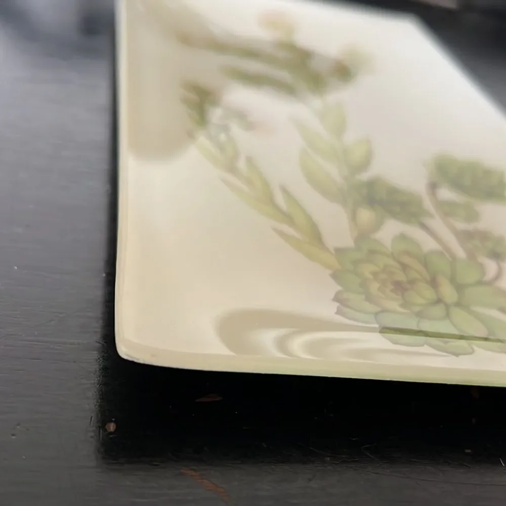 Pottery Barn Glass Succulent Decoupage Tray